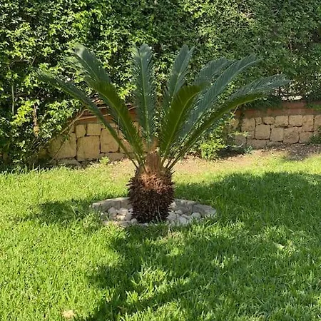 Vila Palm