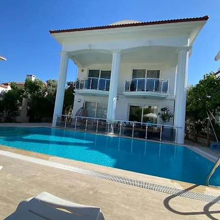 Palm Vila