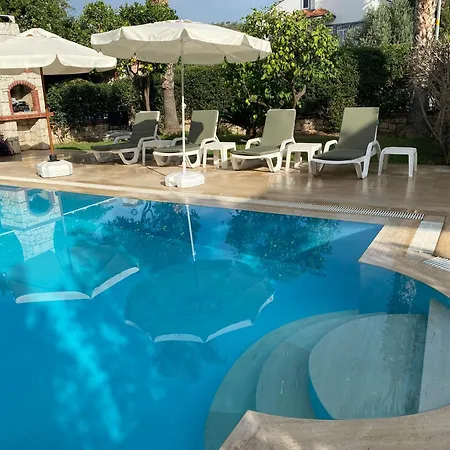 Vila Palm